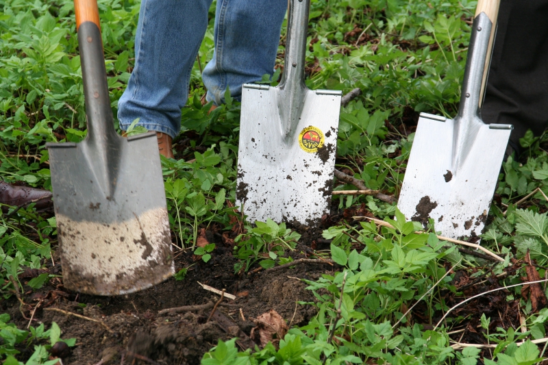 pepiniere-PEILLON-min_work-lawn-flower-tool-green-backyard-1103633-pxhere.com